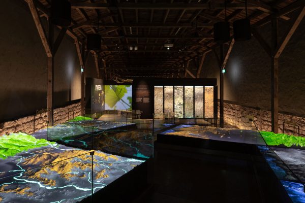 Museo Experiencia Casillero del Diablo (3)